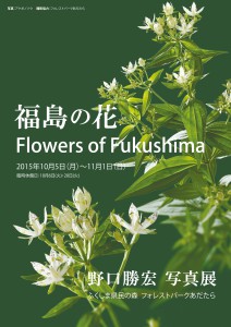 WEB用：flowers of fukushima あだたらアウトライン_表2
