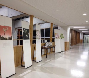 展示1